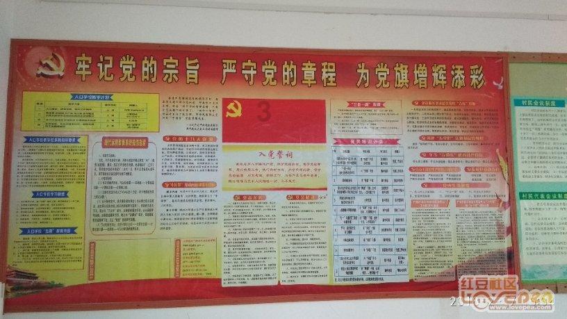 海贼王:十二生肖对应的人物,女帝是蛇,索隆是什么生肖?-专业有问必答平台
